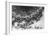 Beet juice and salt crystals-Zandria Muench Beraldo-Framed Photographic Print