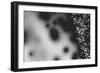 Beet juice and salt crystals-Zandria Muench Beraldo-Framed Photographic Print