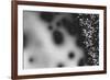 Beet juice and salt crystals-Zandria Muench Beraldo-Framed Photographic Print