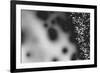 Beet juice and salt crystals-Zandria Muench Beraldo-Framed Photographic Print