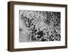 Beet juice and salt crystals-Zandria Muench Beraldo-Framed Photographic Print