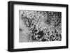 Beet juice and salt crystals-Zandria Muench Beraldo-Framed Photographic Print