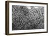 Beet juice and salt crystals-Zandria Muench Beraldo-Framed Photographic Print