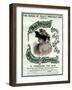 Beetham's Glycerine and Cucumber Cream, 19th Century-null-Framed Giclee Print