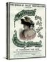 Beetham's Glycerine and Cucumber Cream, 19th Century-null-Stretched Canvas