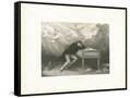 Canvas Black