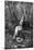 Beethoven, 1906-Franz Hanfstaengl-Mounted Giclee Print