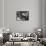 Beethoven, Bonn Birthplce-null-Framed Stretched Canvas displayed on a wall