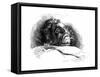 Beethoven (Deathbed)-null-Framed Stretched Canvas