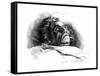 Beethoven (Deathbed)-null-Framed Stretched Canvas