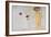 Beethoven-Frieze, 1902: the Longing for Happiness-Gustav Klimt-Framed Giclee Print