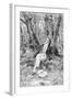 Beethoven Lounging in the Forest-null-Framed Giclee Print