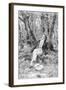 Beethoven Lounging in the Forest-null-Framed Giclee Print