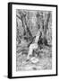 Beethoven Lounging in the Forest-null-Framed Giclee Print