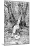 Beethoven Lounging in the Forest-null-Mounted Giclee Print