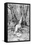 Beethoven Lounging in the Forest-null-Framed Stretched Canvas