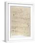 Chelsea White