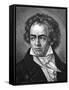 Beethoven-A Close-Framed Stretched Canvas