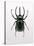 Beetle 2-Design Fabrikken-Stretched Canvas