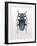 Beetle 3-Design Fabrikken-Framed Photographic Print