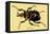 Beetle: African Goliathus Magnus-Sir William Jardine-Framed Stretched Canvas
