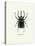 Beetle Black-null-Stretched Canvas