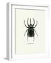 Beetle Black-null-Framed Art Print