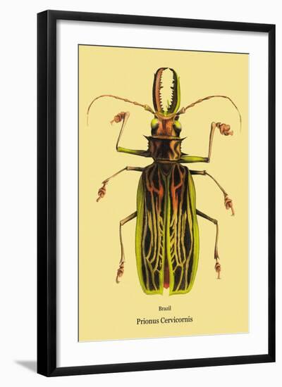 Beetle: Brazilian Prionus Cervicornis-Sir William Jardine-Framed Art Print