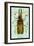 Beetle: Brazilian Prionus Cervicornis-Sir William Jardine-Framed Art Print