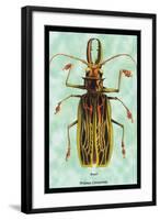 Beetle: Brazilian Prionus Cervicornis-Sir William Jardine-Framed Art Print