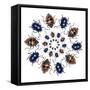 Beetle Circular Design with Small Round Beetles in the Chrysomelidae Family-Darrell Gulin-Framed Stretched Canvas