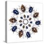 Beetle Circular Design with Small Round Beetles in the Chrysomelidae Family-Darrell Gulin-Stretched Canvas