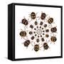 Beetle Circular Design with Small Round Beetles in the Chrysomelidae Family-Darrell Gulin-Framed Stretched Canvas