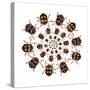 Beetle Circular Design with Small Round Beetles in the Chrysomelidae Family-Darrell Gulin-Stretched Canvas