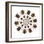 Beetle Circular Design with Small Round Beetles in the Chrysomelidae Family-Darrell Gulin-Framed Photographic Print