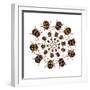 Beetle Circular Design with Small Round Beetles in the Chrysomelidae Family-Darrell Gulin-Framed Photographic Print