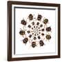 Beetle Circular Design with Small Round Beetles in the Chrysomelidae Family-Darrell Gulin-Framed Photographic Print