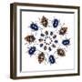 Beetle Circular Design with Small Round Beetles in the Chrysomelidae Family-Darrell Gulin-Framed Photographic Print