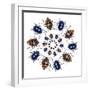 Beetle Circular Design with Small Round Beetles in the Chrysomelidae Family-Darrell Gulin-Framed Photographic Print
