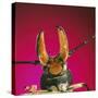 Beetle Close-Up under Pincer-Andy Teare-Stretched Canvas