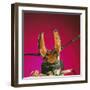 Beetle Close-Up under Pincer-Andy Teare-Framed Photographic Print