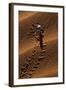 Beetle Crawling Along Sand Dune in Namibia-Paul Souders-Framed Photographic Print