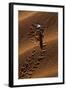 Beetle Crawling Along Sand Dune in Namibia-Paul Souders-Framed Photographic Print