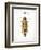 Beetle II-Gwendolyn Babbitt-Framed Art Print