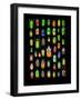 Beetle Lay Out on Black Back Ground in Multi Colors and Shapes-Darrell Gulin-Framed Photographic Print