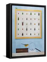 Beetle Mania, 2012-13-Rebecca Campbell-Framed Stretched Canvas