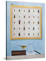 Beetle Mania, 2012-13-Rebecca Campbell-Stretched Canvas