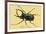 Beetle: Scarabaeus Atlas of Java-Sir William Jardine-Framed Premium Giclee Print