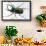 Beetle: Scarabaeus Atlas of Java-Sir William Jardine-Stretched Canvas displayed on a wall