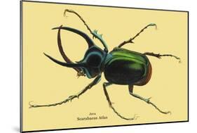 Beetle: Scarabaeus Atlas of Java-Sir William Jardine-Mounted Art Print